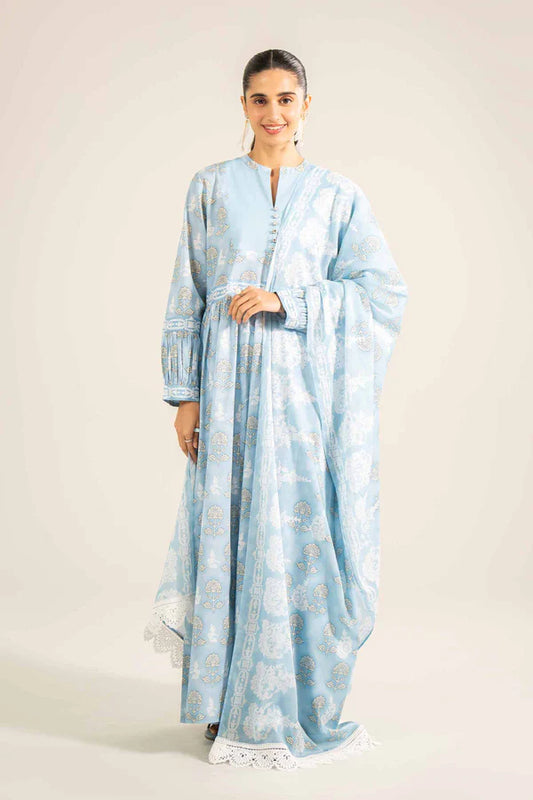 NISHAT-3PC LAWN-42403271
